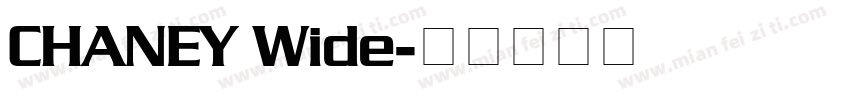 CHANEY Wide字体转换